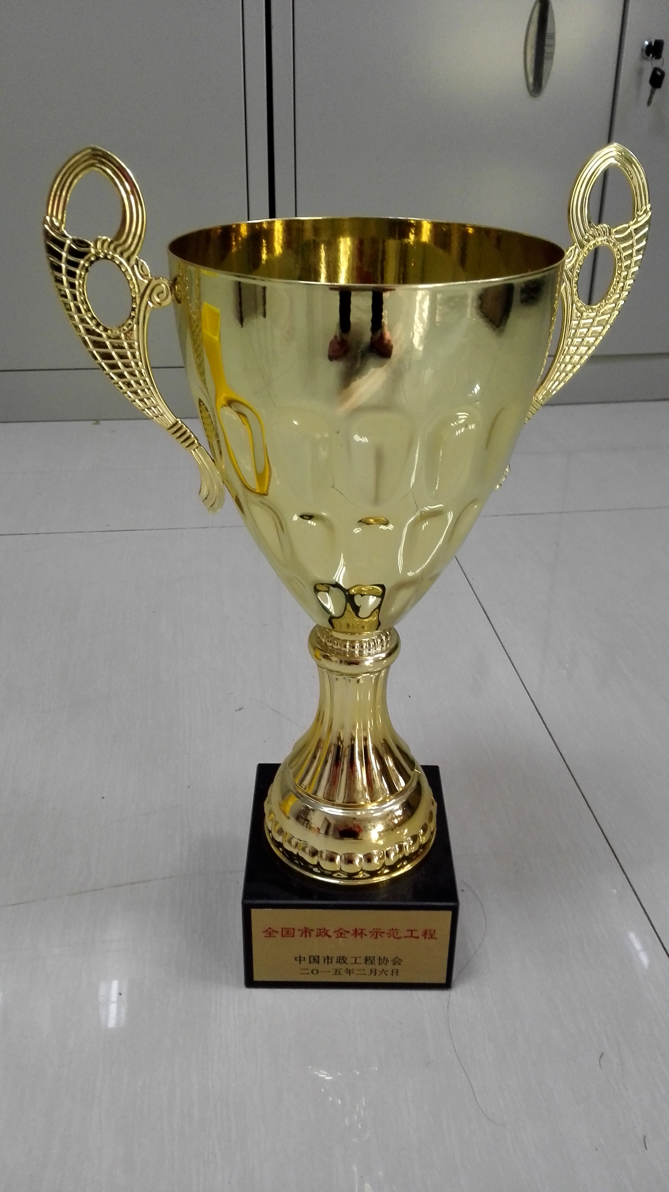 全国市政金杯示范工程2015.2.6.jpg